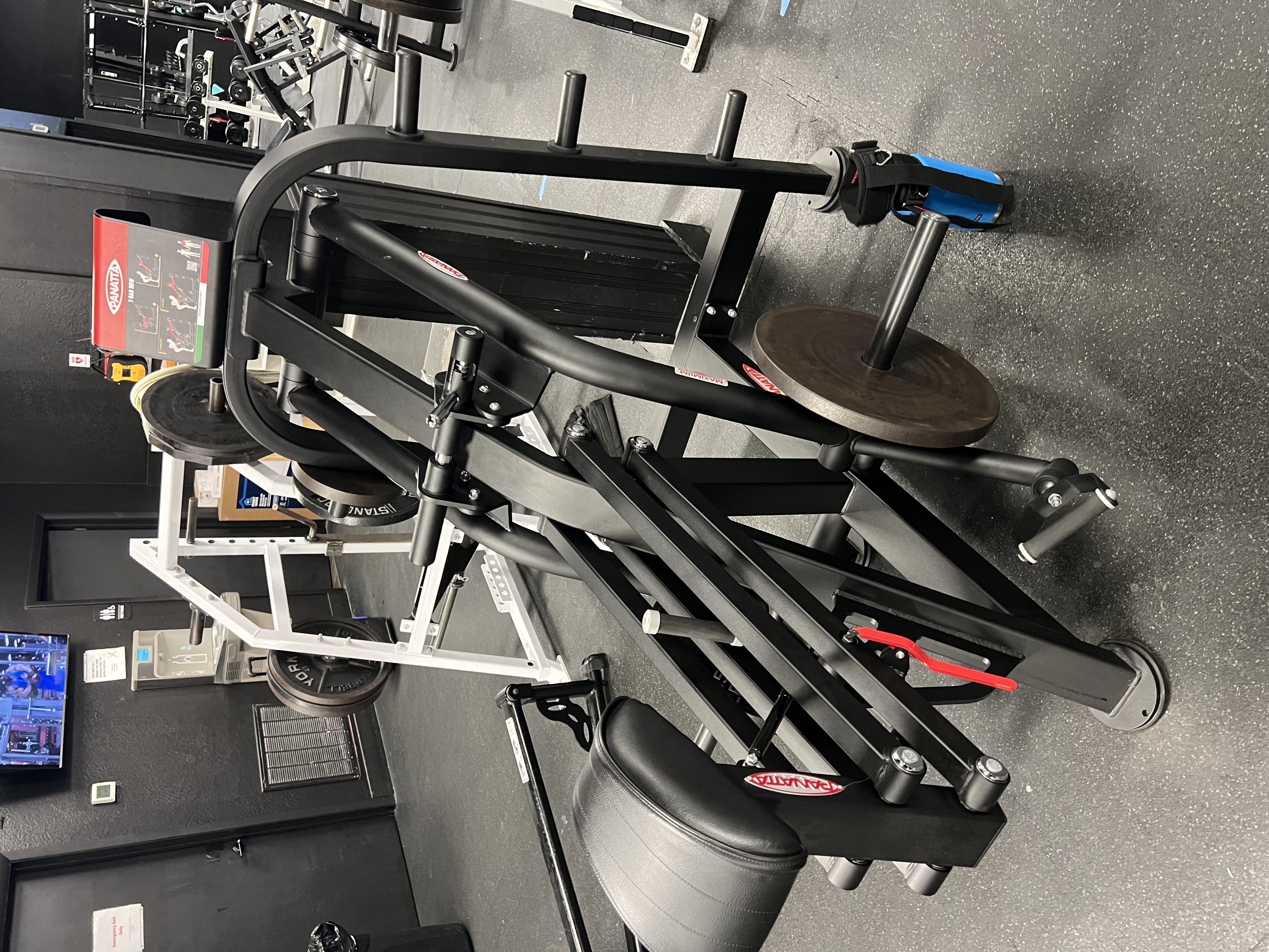 Panatta T-Bar Row